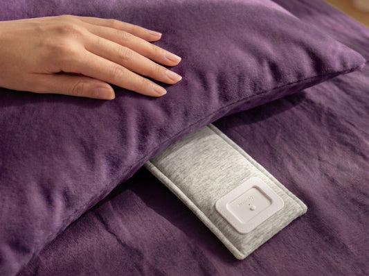Drowsie under a purple pillow, with a hand resting on top